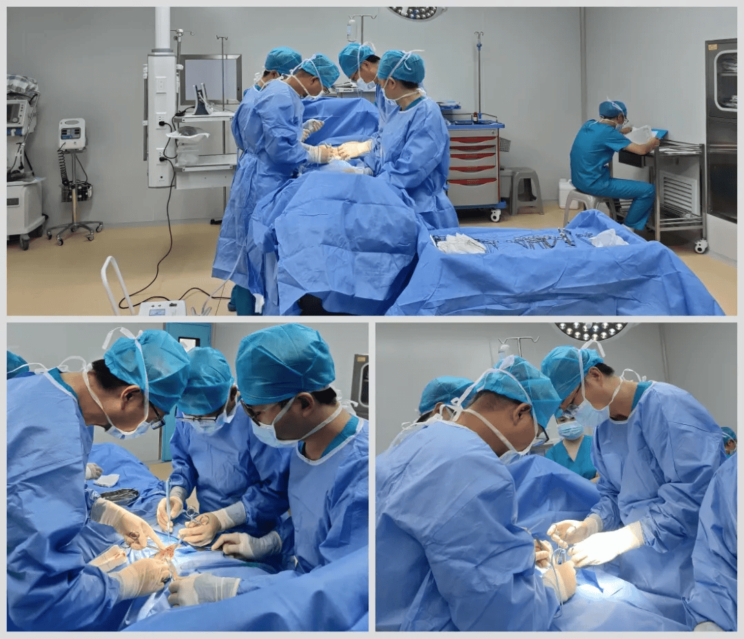 夏每周动态2024第39期PP模拟器健康报•健康宁(图4)