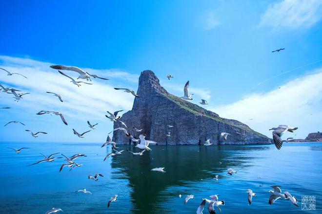 型的温带海洋海岛生态系统PP电子aPP长岛：最典(图16)