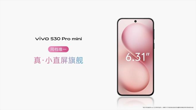 系列发布：长续航氛围感多彩配色PP电子模拟器vivo S30(图17)